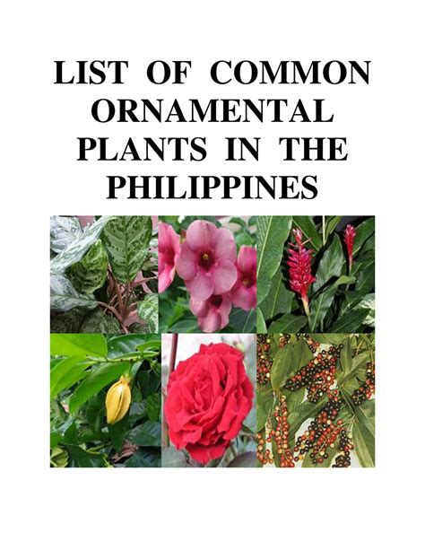 List of common ornamental plants in the philippines - LIST OF COMMON ...