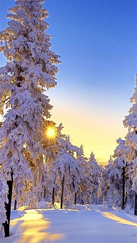 winter | Fotografia, Nevar, Congelado