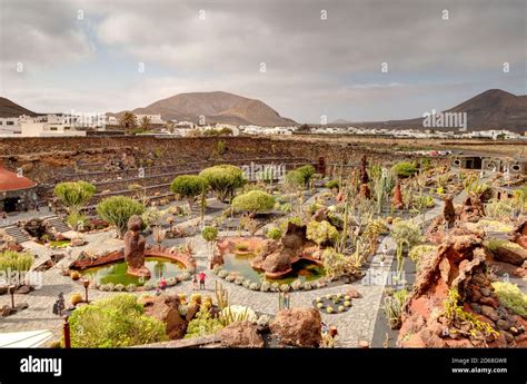 Cactus Garden in Lanzarote Stock Photo - Alamy