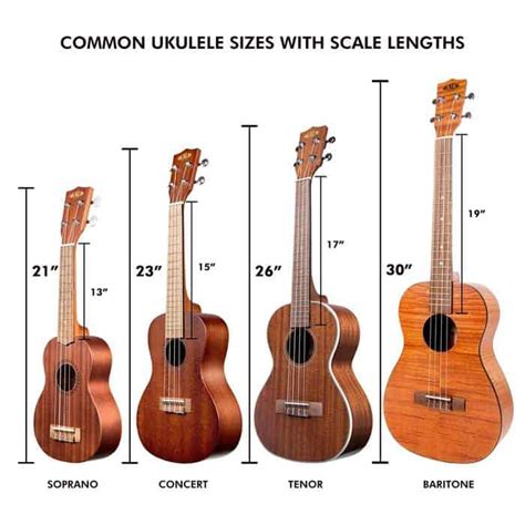 Does the Ukulele Have the Same Chords as a Guitar? - A Comprehensive Guide