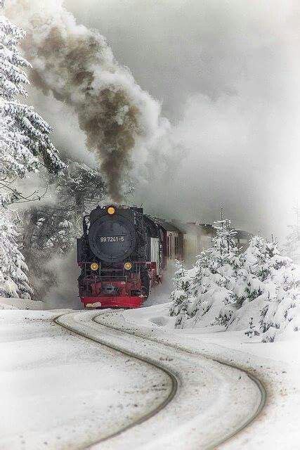 Pin on i hear that train a coming... | Train, Steam trains, Train rides