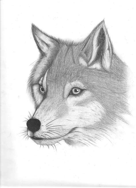 Dibujos De Lobos A Lapiz Para Tatuajes 13++ Images Result | Dosoka