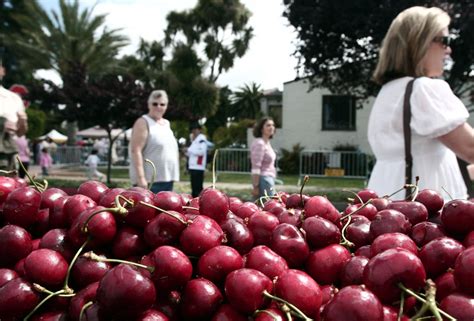 San Leandro: Cherry Festival, on hiatus since 2019, returns Saturday ...