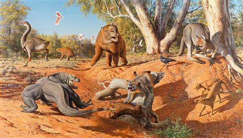 Climate change helped kill off super-sized Ice Age animals in Australia | Vanderbilt University