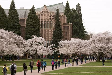 University Of Washington Engineering Acceptance Rate