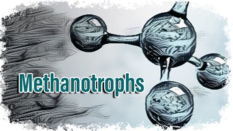 Methanotrophs - Gokulam Seek IAS