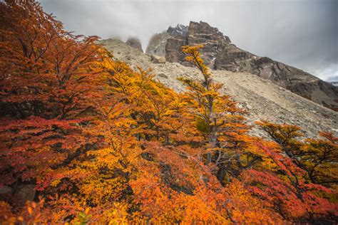 5 Reasons to Visit Patagonia in April