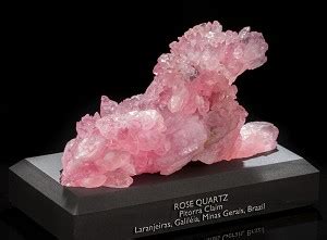 "The Lion" Rose Quartz from Brazil-CT21-LION