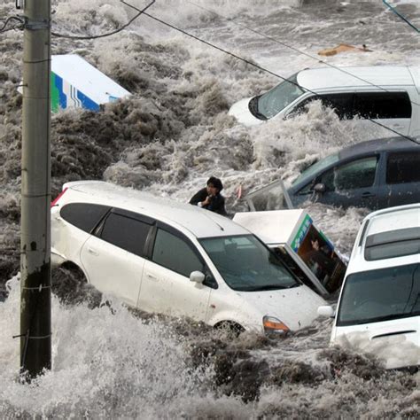 Japan earthquake and tsunami: photographer survives after being swept away