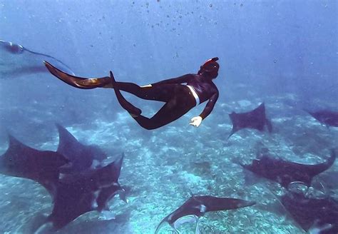 Manta Point Komodo National Park - Komodo Touristic