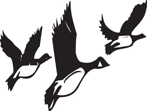 กราฟฟิกเวคเตอร์ฟรี: ห่าน, บิน, นก, เที่ยวบินที่, สีดำ - ภาพฟรีที่ Pixabay - 46047