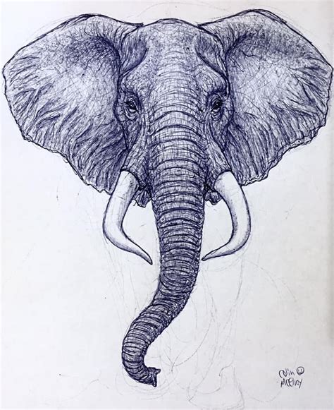 African Elephant Face by MickeyRayRex on DeviantArt