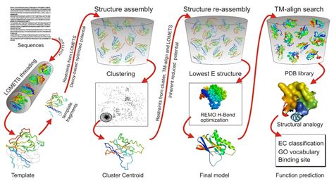 Protein Functions and Structure Prediction with I-TASSER, a Novel ...