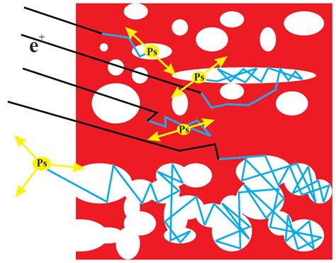 Positron Annihilation Lifetime Spectrometer | NIST