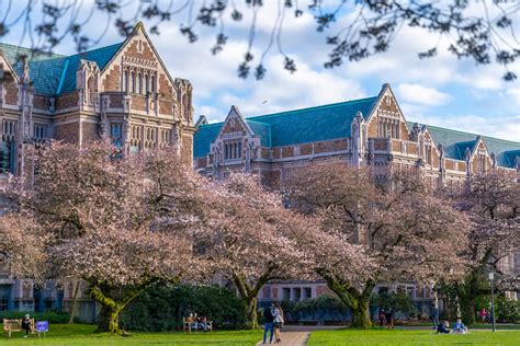 The 6 Largest Universities in the U.S. - Classrooms