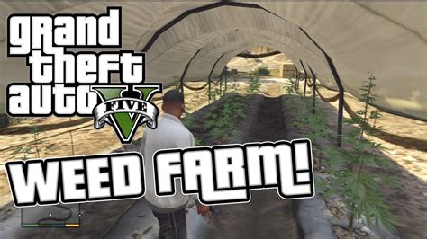 GTA 5 - Weed Farm Location - Secret Easter Egg! - YouTube