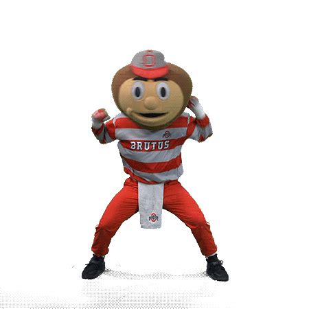 Ohio State Buckeyes Sticker by Ohio State Athletics for iOS & Android | GIPHY