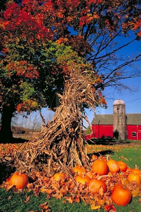 Pin by Barbara Mills on Harvest, Thanksgiving and Fall Clips | Autumn scenery, Fall pictures ...