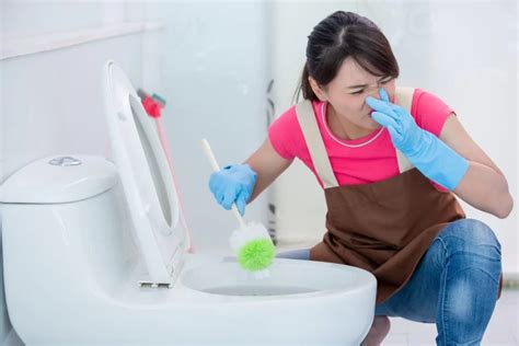 Why Does My Toilet Stink? | Out Of This World Plumbing