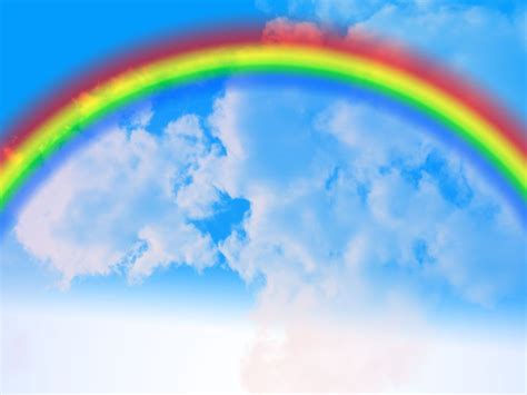 The Seven Colors of Rainbow | Rainbow, Over the rainbow, Rainbow background