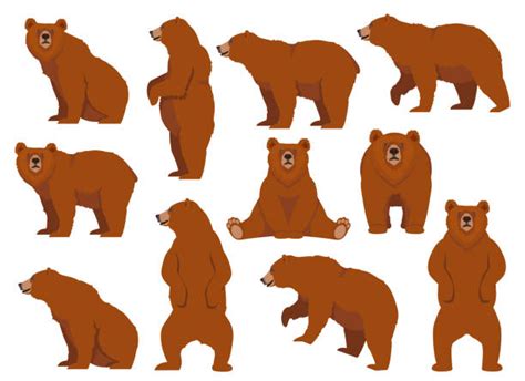 Brown Bear Cartoon Standing