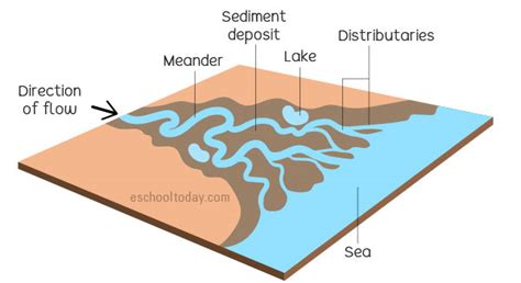 Delta Landform Diagram