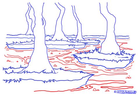 How to Draw a Swamp, Draw Swamps, Step by Step, Watermasses, Landmarks & Places, FREE Online ...