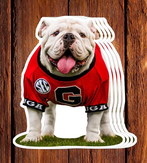 UGA Georgia Bulldogs Decal Sticker: Uga X Mascot Premium Photo - Etsy