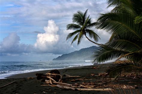 Corcovado National Park Trekking - Indi Nomads