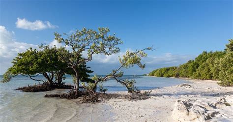 Anne's Beach in Islamorada | Florida Keys Camping