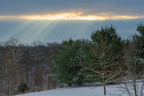 Landscape Photography of Snowy Forest · Free Stock Photo