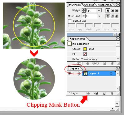 Clipping Path Illustrator Group