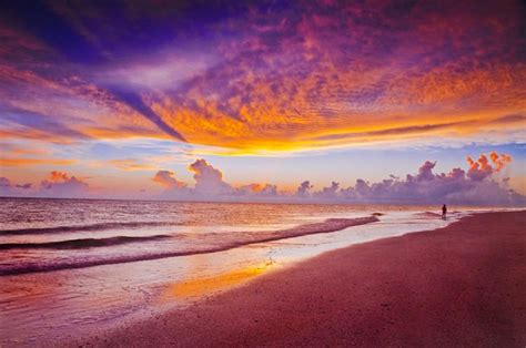 Sarasota, Florida sunset | Sarasota, Florida is a great spot… | Flickr