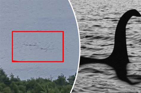 Two Loch Ness monsters in lake in Scotland caught in amazing new pics ...