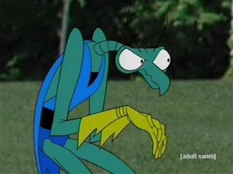 Zorak | The Brak Show Wiki | Fandom