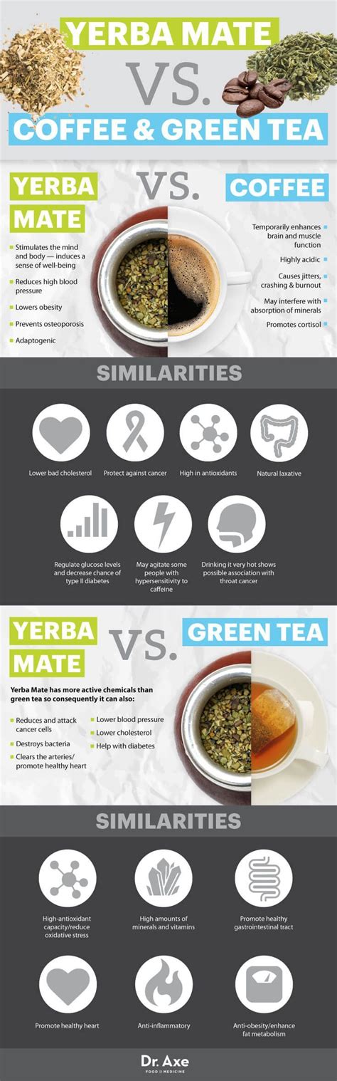 Yerba Mate Benefits: Does It Fight Cancer? - Dr. Axe | Yerba mate ...