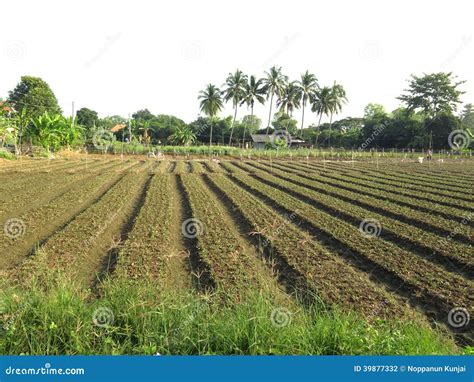 Cultivated Land Stock Photo - Image: 39877332