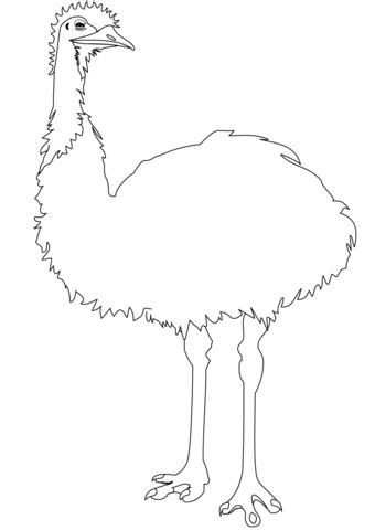 Emu coloring page | Free Printable Coloring Pages