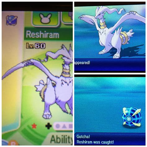 [7] Shiny Reshiram caught in a Beast Ball after 1185 resets : r ...