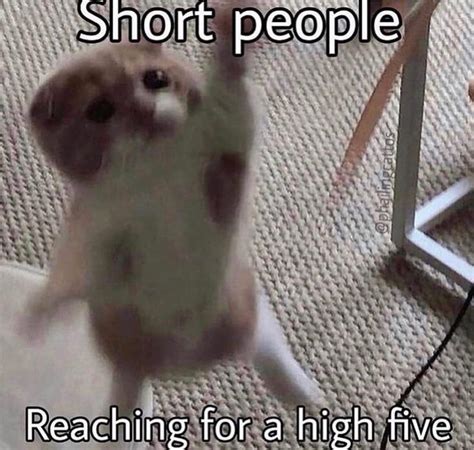 high five : r/meme