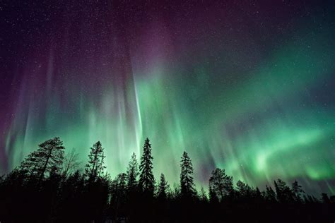 Seeing the northern lights in Finnish Lapland | Velvet Escape