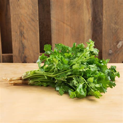 CORIANDER 100G - No.1 Organic & Fresh grocer in Singapore. Everyday Even Lower Price! Price ...