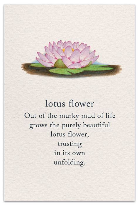 Lotus Flower Name In Sanskrit | Best Flower Site