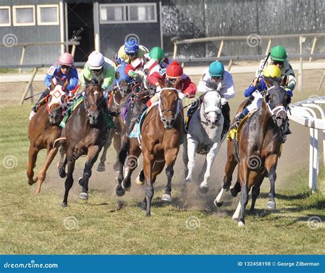 Thoroughbred Racing on the Turf Editorial Stock Photo - Image of ease, grass: 132458198