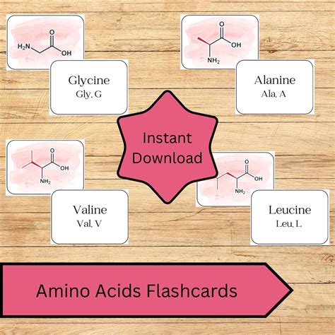 Amino Acid Flashcards for Biology, Biochemistry, Medical School ...