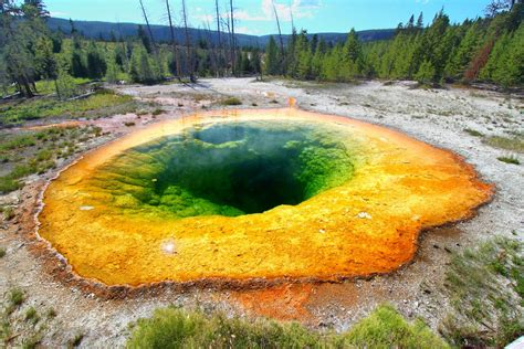 Swarm Of Earthquakes Shake Yellowstone