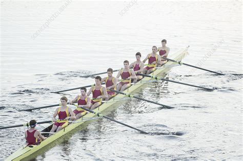 Rowing team rowing scull on lake - Stock Image - F013/9981 - Science Photo Library