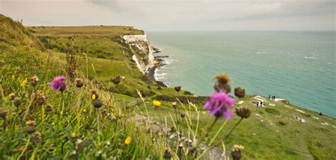 Dover Travel Guide Resources & Trip Planning Info by Rick Steves