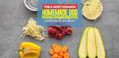 6 Most Common Homemade Dog Food Ingredients (and why use them)