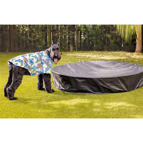 Midlee Dog Pool Cover | Wayfair